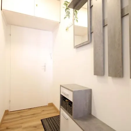 Apartment Gemuetliche In Zell Am See-schuettdorf Fuer Bis Zu 3 Personen